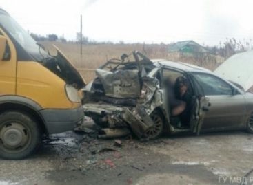 Волжанина осудят за гибель пассажира на трассе «Волгоград — Сальск»