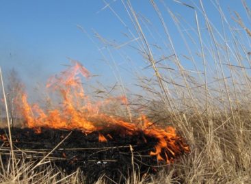Сальчан просят не сжигать траву во избежание пожара