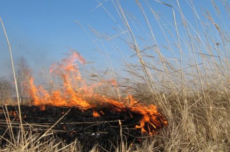 Сальчан просят не сжигать траву во избежание пожара