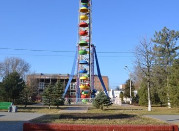 Сальчане выбрали название городского парка культуры