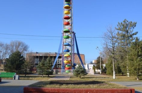 Сальчане выбрали название городского парка культуры