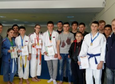 Дзюдоисты Сальского района успешно выступили на Играх Дона
