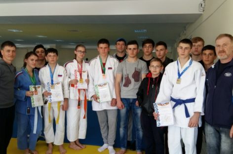 Дзюдоисты Сальского района успешно выступили на Играх Дона