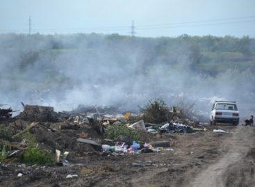 Жители микрорайона Ново-Сальск возмущены свалкой в черте города