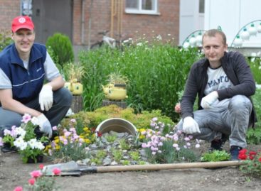 Сальчане прислали заявку с фотографией двора для участия в городском конкурсе