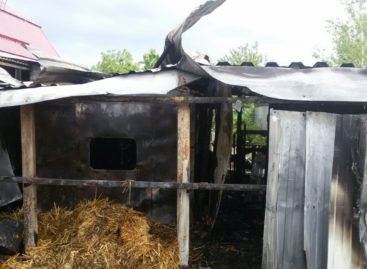В Сальском районе сгорела хозпостройка с цыплятами