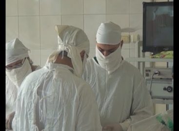 В Сальске наградили лучших медработников