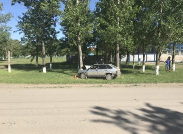 В Сальском районе пьяный водитель  на ВАЗ-21093 врезался в дерево
