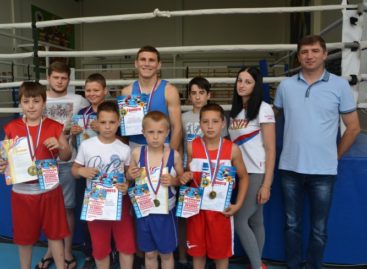 Сальские боксёры: девять наград с Кубани