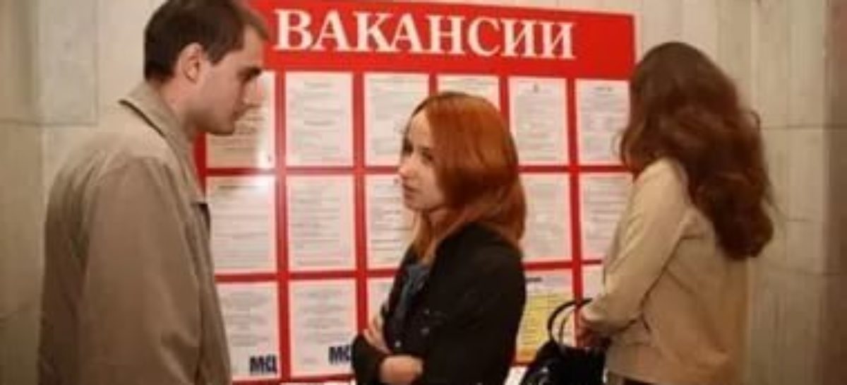 Установлены дополнительные гарантии социальной поддержки безработных детей-сирот