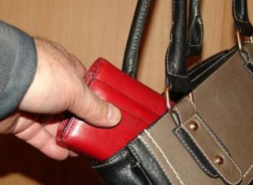 В Сальске украли кошелек средь бела дня