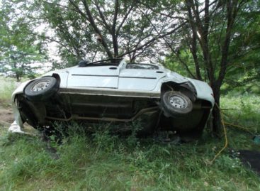 В Сальске погиб в автомобильной аварии житель Пролетарска