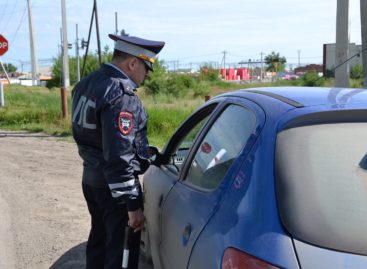 В Сальском районе стартовал декадник «Дорога и дети»