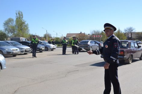 В Сальском районе завершилась операция «Пешеход»