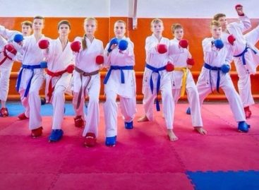 Трое сальских каратистов попали в финал Спартакиады учащихся России-2017
