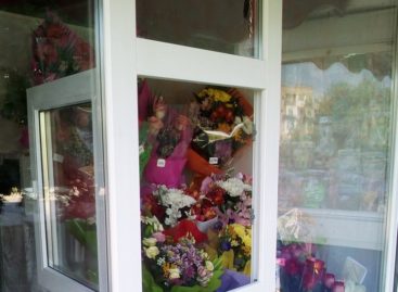 Сальские романтики глазами продавцов-цветочников