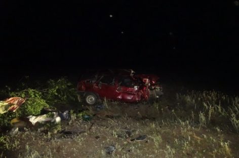 В Новом Егорлыке врезался в дерево и опрокинулся ВАЗ-210930