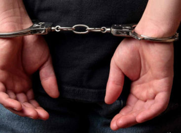 В Сальском районе за полгода зафиксировано 485 преступлений