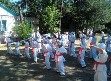 Сальские каратисты успешно прошли аттестацию на пояса