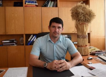 Итоги жатвы-2017: сколько весит сальский каравай?