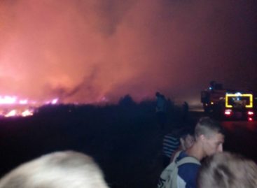 Крупный ландшафтный пожар тушили в Гигантовском сельском поселении