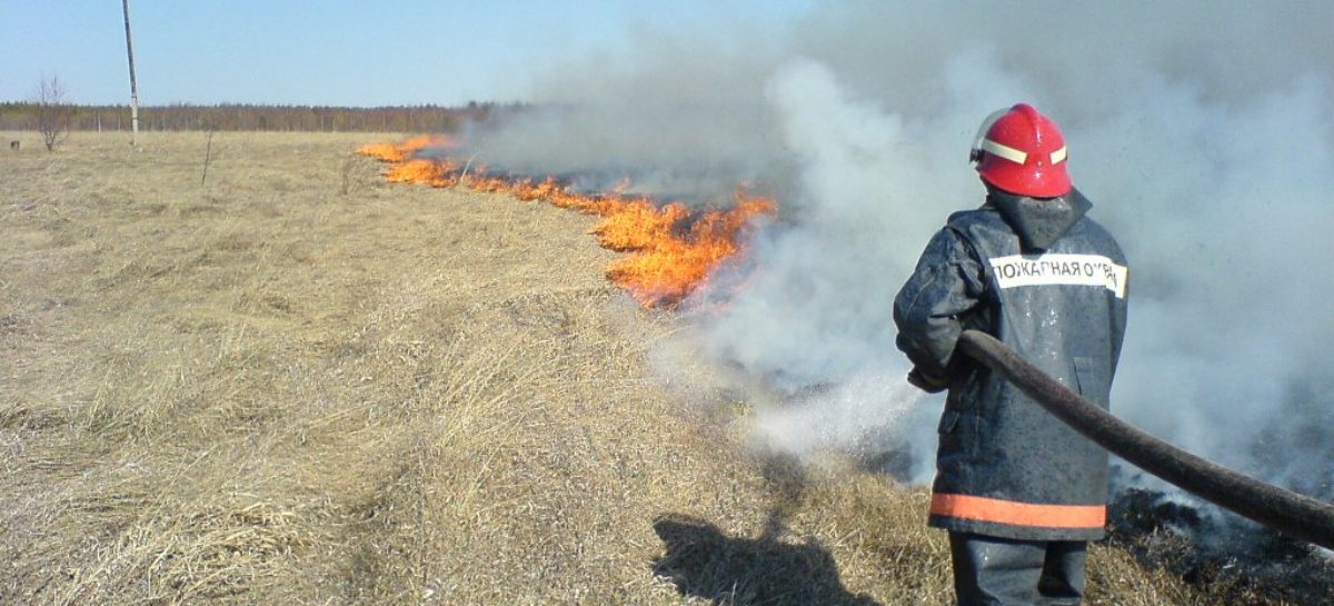 В Сальске уже несколько часов горит пустырь в районе военной части