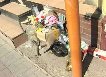 Сальских предпринимателей заставят убирать за собой?