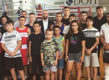 Шесть золотых медалей завоевали сальские боксеры в Багаевской