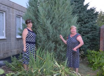 Участники конкурса «Я люблю этот город» — семья Мусиных