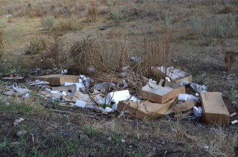 Сальская администрация взамен на покос травы просит горожан убрать за собой мусор