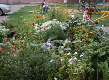Конкурс «Я люблю этот город»: привет из центра Сальска