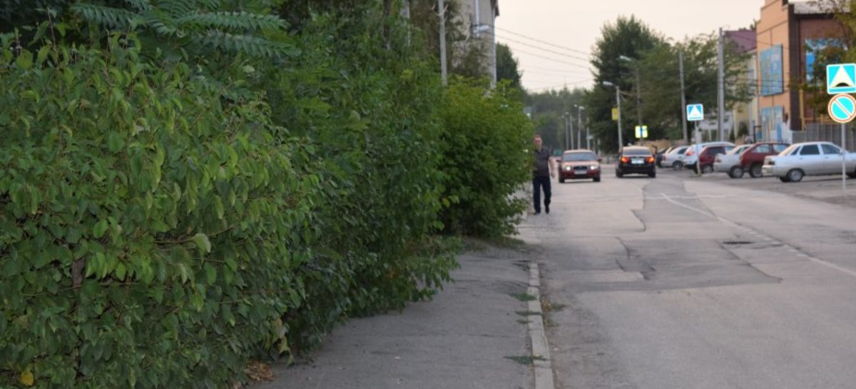 Прогулки по Сальску: что печалит жителей центра города