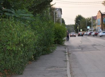 Прогулки по Сальску: что печалит жителей центра города