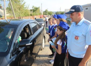 В Сальском районе стартовала акция «Пристегни ребёнка!»
