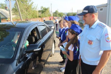 В Сальском районе стартовала акция «Пристегни ребёнка!»