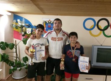 Гигантовские борцы успешно выступили в Весёловском