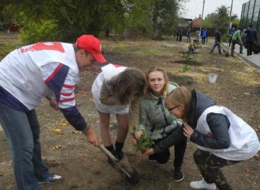 День древонасаждения в Сальске: Ново-Сальск украсили 50 молодых орехов
