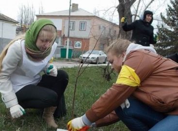 День древонасаждения пройдет в Сальском районе 21 октября