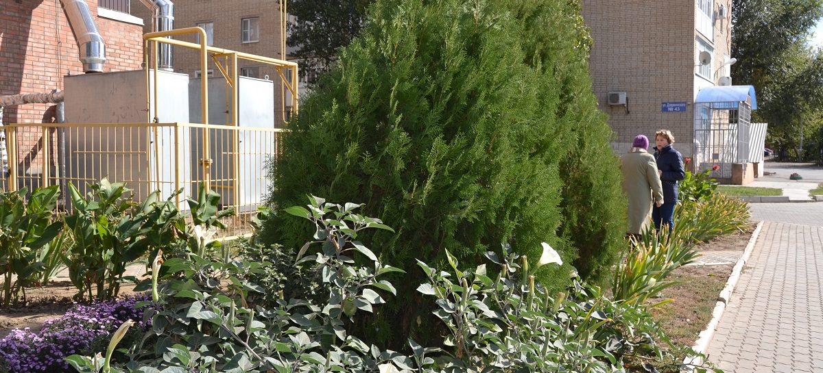«Я люблю этот город»: на Дзержинского, 47, думают о здоровье