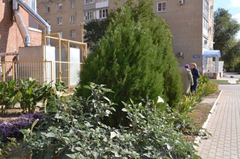 «Я люблю этот город»: на Дзержинского, 47, думают о здоровье