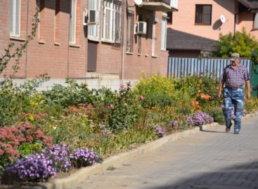 «Я люблю этот город»: как Сальск осенью цветет