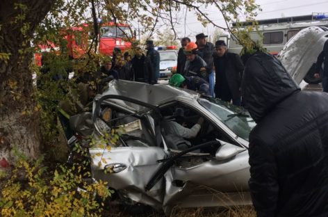 В Сальском районе в автоаварии погиб молодой мужчина