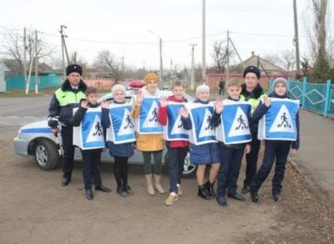 Сальские школьники напомнили взрослым о правилах дорожного движения