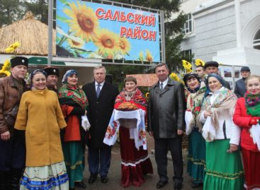 Губернатор поздравил сальских аграриев с Днём работника сельского хозяйства