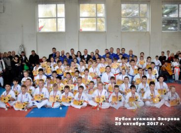 Каратисты Сальского района поедут в Зверево