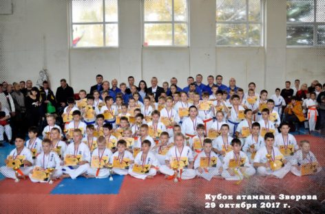 Каратисты Сальского района поедут в Зверево