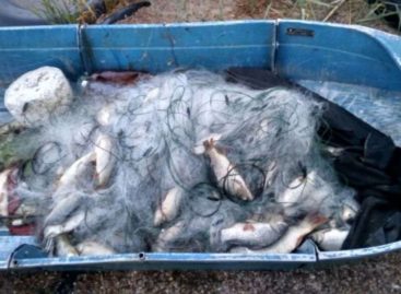 В двух водохранилищах Дона запретили ловить судака и берша