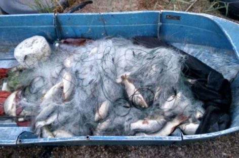 В двух водохранилищах Дона запретили ловить судака и берша