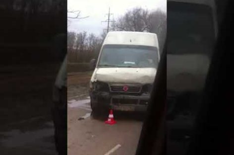 Сразу три машины попали в аварию в Сальском районе