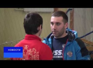 Сальск встретил областное первенство по боксу